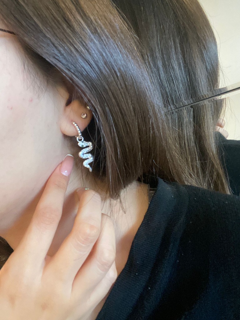 ARETES SERPIENTE