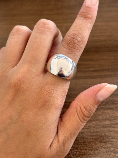 Anillo Disco D3004