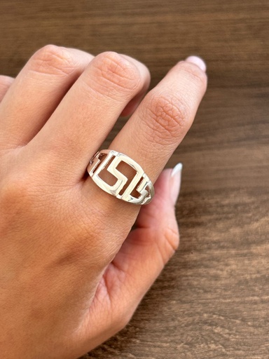 Anillo S D3011