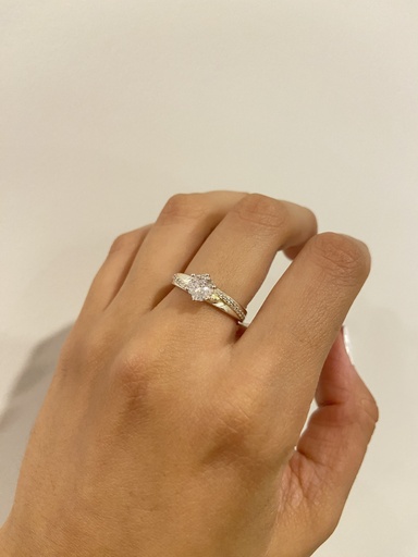 ANILLO MONICA