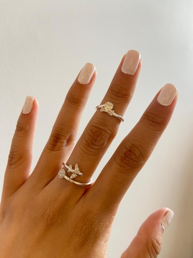 ANILLO AVION
