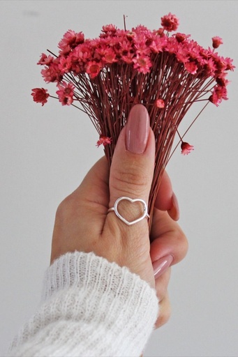 ANILLO PRIMAVERA