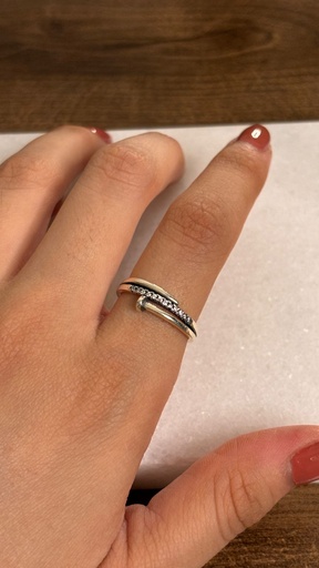 ANILLO MARTI