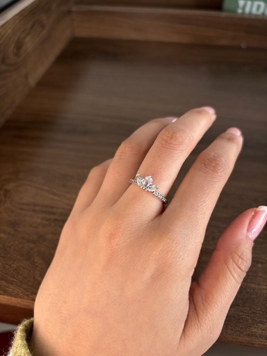 ANILLO AGEA