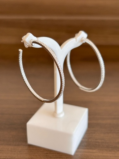ARGOLLAS LIZI